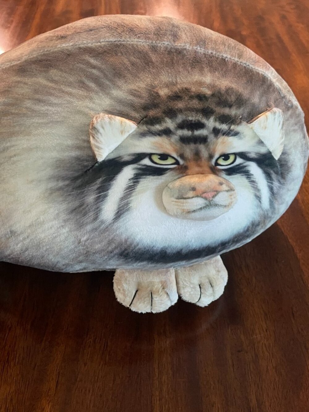 Pallas Cat Plush 3D Novelty Stuffed Animal Decorative Pillow 13"!
